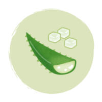 Aloe Vera Jelly matchatime bubble tea store